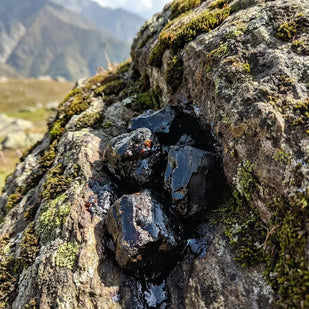 SHILAJIT (High Fulvic Acid)