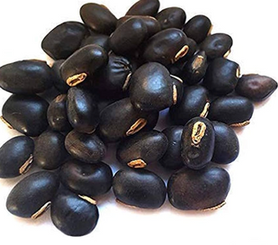 KAUNCH (MUCUNA PRURIENS)
