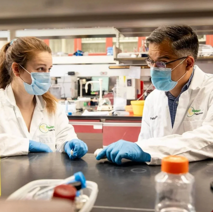 Scientists in lab